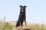 BEAUCERON 122